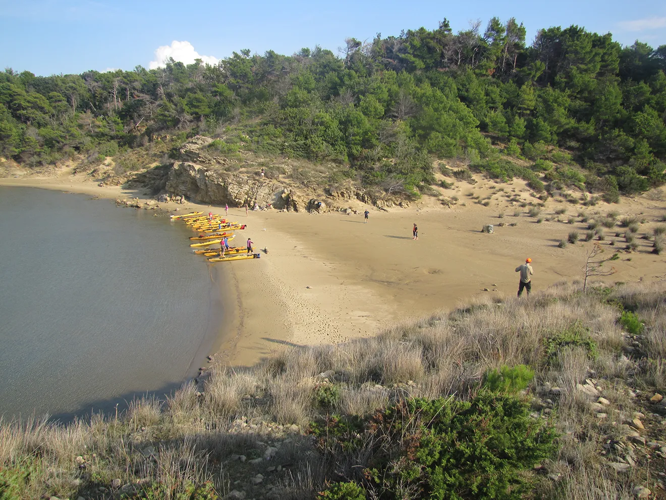 group of person with sea kayak