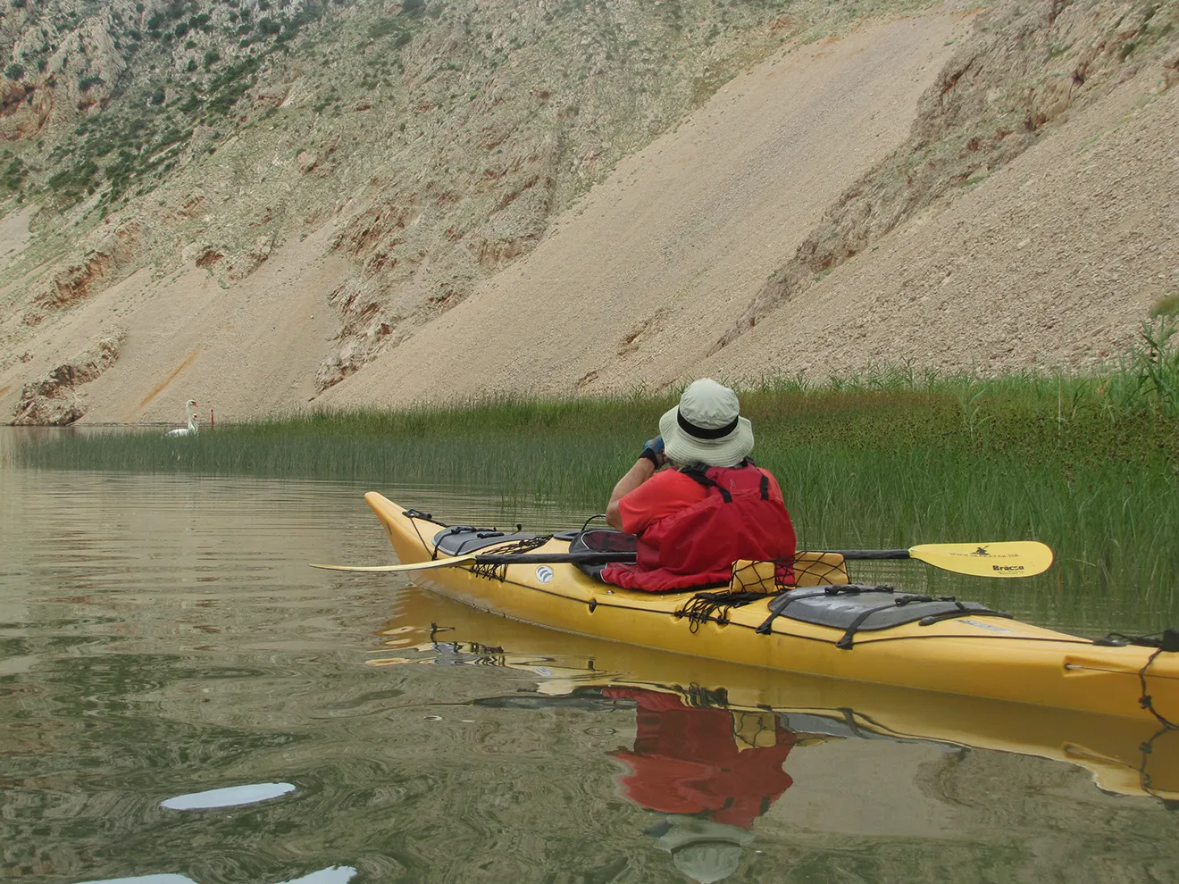 group of person with sea kayak